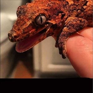 Meet your Posher, Paul